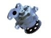 Oil Pump:1117948