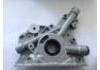 Oil Pump:96350159